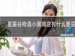 星露谷物语小黑商店有什么要买的