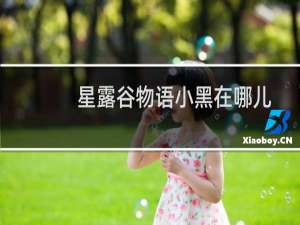 星露谷物语小黑在哪儿