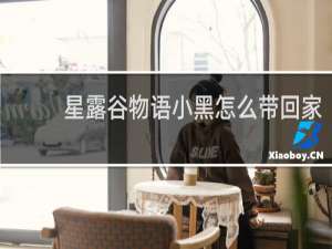 星露谷物语小黑怎么带回家