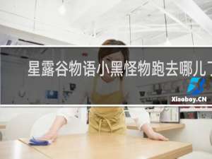 星露谷物语小黑怪物跑去哪儿了