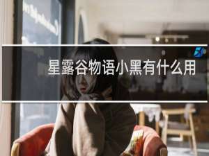 星露谷物语小黑有什么用