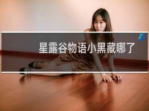 星露谷物语小黑藏哪了