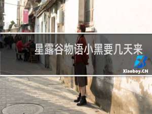 星露谷物语小黑要几天来