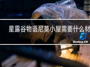 星露谷物语尼莫小屋需要什么材料