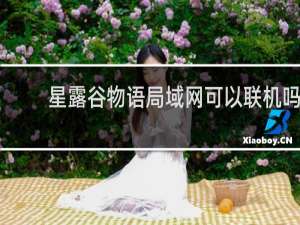 星露谷物语局域网可以联机吗