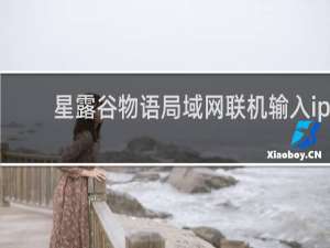 星露谷物语局域网联机输入ip