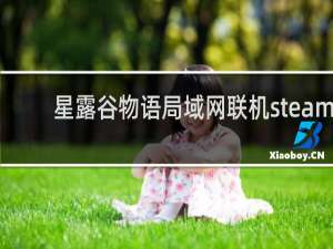 星露谷物语局域网联机steam