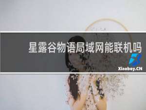 星露谷物语局域网能联机吗