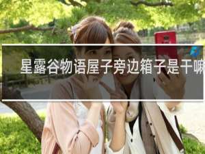 星露谷物语屋子旁边箱子是干嘛的