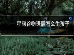 星露谷物语展怎么生孩子