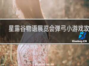 星露谷物语展览会弹弓小游戏攻略