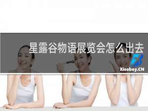 星露谷物语展览会怎么出去