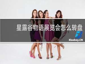 星露谷物语展览会怎么转盘