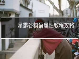 星露谷物语属性教程攻略