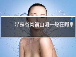 星露谷物语山姆一般在哪里