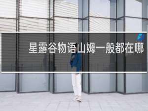 星露谷物语山姆一般都在哪