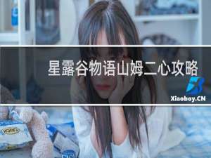 星露谷物语山姆二心攻略