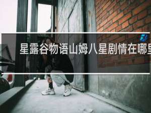星露谷物语山姆八星剧情在哪里