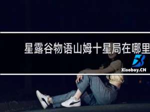 星露谷物语山姆十星局在哪里