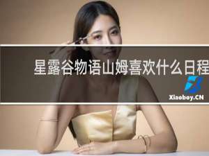 星露谷物语山姆喜欢什么日程