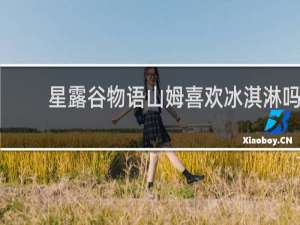 星露谷物语山姆喜欢冰淇淋吗