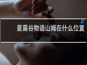 星露谷物语山姆在什么位置
