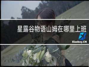 星露谷物语山姆在哪里上班