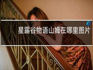 星露谷物语山姆在哪里图片