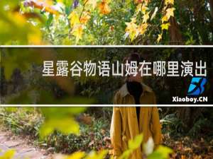 星露谷物语山姆在哪里演出