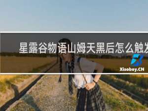 星露谷物语山姆天黑后怎么触发