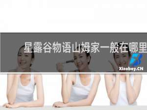 星露谷物语山姆家一般在哪里