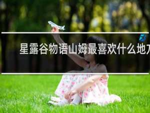 星露谷物语山姆最喜欢什么地方