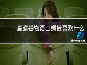 星露谷物语山姆最喜欢什么