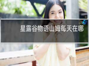 星露谷物语山姆每天在哪