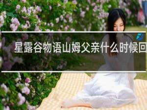 星露谷物语山姆父亲什么时候回来