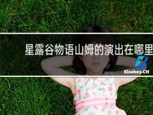 星露谷物语山姆的演出在哪里