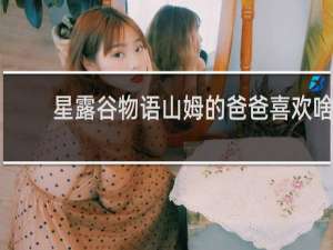 星露谷物语山姆的爸爸喜欢啥