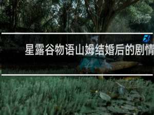 星露谷物语山姆结婚后的剧情