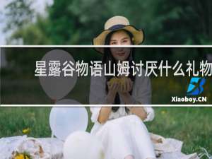 星露谷物语山姆讨厌什么礼物