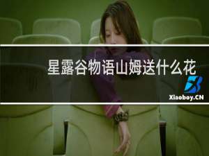 星露谷物语山姆送什么花