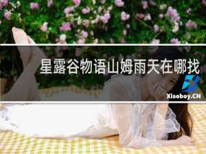 星露谷物语山姆雨天在哪找