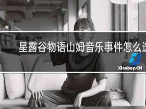 星露谷物语山姆音乐事件怎么选