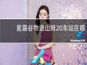 星露谷物语山姆 车站在哪
