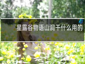 星露谷物语山洞干什么用的