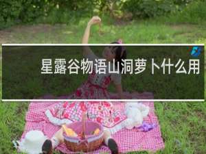 星露谷物语山洞萝卜什么用