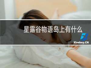 星露谷物语岛上有什么