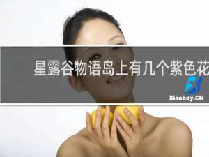 星露谷物语岛上有几个紫色花