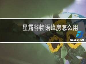 星露谷物语峰房怎么用