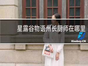 星露谷物语州长厨师在哪里