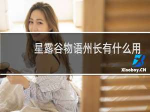 星露谷物语州长有什么用